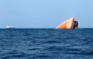 الحوثيون ينسجون شبكة تحالفات جديدة و غير تقليدية في البحر الأحمر وخليج عدن.. ماذا يعني ذلك؟ - ye