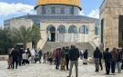 مستوطنون صهاينة يستبيحون المسجد الأقصى المبارك - ye