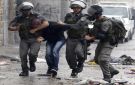 الإسرائيلي يعتقل 14 فلسطينيا في رام الله والبيرة ومحافظة قلقيلية
