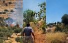 المستوطنون الصهاينة يشنون هجمات متكررة على مزارعين فلسطينيين في الأغوار ورام الله - ye