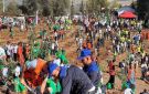 مليون غرسة بيوم.. انطلاق أكبر حملة تشجير في الجزائر - ye