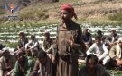 جلسات إرشادية لمزارعي الفراولة والخوخ في بلاد الروس بمحافظة صنعاء - ye