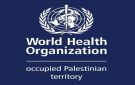 الصحة العالمية تكثف عمليات تسليم الإمدادات الطبية للمرافق الصحية في غزة - ye