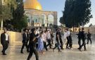 مستوطنون يقتحمون المسجد الأقصى ويؤدون طقوسا تلمودية مقابل قبة الصخرة - ye
