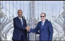 السيسي والبرهان يؤكدان رفضهما القاطع لأي إجراءات أحادية تتخذ على النيل الأزرق - ye