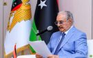 حفتر: ينبغي حل الأزمة الليبية بإرادة الشعب ومساندة القبائل - ye