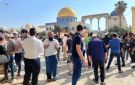 مستوطنون يقتحمون المسجد الأقصى