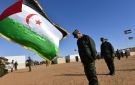بوليساريو مستعدة لقبول مقترح الحكم الذاتي المغربي إذا قبله الصحراويون - ye