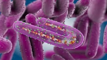 وباء قاتل في إثيوبيا ومخاوف من انتقاله إلى اليمن وباء قاتل في إثيوبيا ومخاوف من انتقاله إلى اليمن