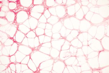 تطوير أوعية دموية مطبوعة بتقنية طباعة ثلاثية أبعاد تحاكي تدفق الدم الطبيعي