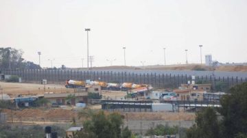 الأمم المتحدة: الإمدادات الغذائية لغزة تتحسن منذ وقف إطلاق النار