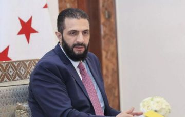 الشرع يتوجه إلى البرازيل للمشاركة في قمة كوب 30 الشرع يتوجه إلى البرازيل للمشاركة في قمة كوب 30