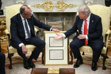 المستشار الألماني يبحث مع ترامب الخطة الأميركية في شأن أوكرانيا