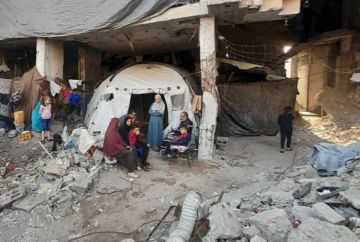 دراسة ألمانية: ضحايا حرب الإبادة في غزة قد يتجاوزون 100 ألف شهيد دراسة ألمانية: ضحايا حرب الإبادة في غزة قد يتجاوزون 100 ألف شهيد