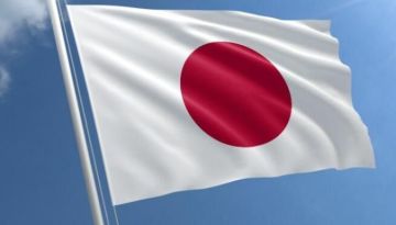 اليابان تكافح الدببة بعد تكاثر هجماتها على البشر