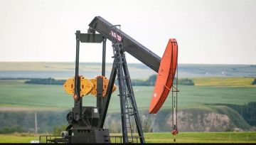 باحثون روس يطورون طريقة مبتكرة لاستخراج مواد طبية عالية القيمة من مخلفات تكرير النفط