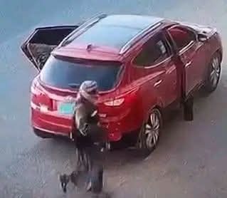 شرطة صنعاء تلقي القبض على متهم بإطلاق النار على منزل سكني أدى إلى مقتل امرأة شرطة صنعاء تلقي القبض على متهم بإطلاق النار على منزل سكني أدى إلى مقتل امرأة