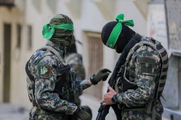 حماس تستنكر قصف إسرائيل مخيم عين الحلوة جنوبي لبنان