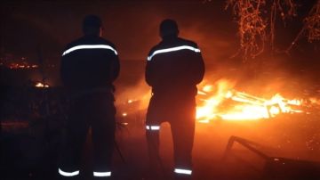 22 حريقا في غابات الجزائر وإجلاء سكان