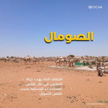 الأمم المتحدة: الملايين معرضون للخطر في الصومال ومقديشو أعلنت حالة طوارئ وطنية