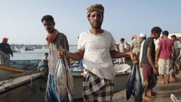 البنك الدولي يدعم انتعاش قطاع الثروة السمكية في اليمن عبر مشروع التنمية المستدامة