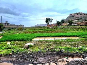 الحوثيون يكتبون عبارات استفزازية على منازل مؤيدين للشرعية في سنحان بمحافظة صنعاء الحوثيون يكتبون عبارات استفزازية على منازل مؤيدين للشرعية في سنحان بمحافظة صنعاء