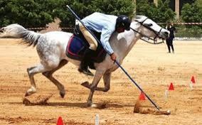 غدا بصنعاء .. انطلاق منافسات بطولة 30 نوفمبر لالتقاط الأوتاد