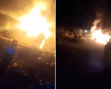 مستوطنون يحرقون كرفانا و بركسا جنوب نابلس..وآخرون يقطعون 30 شجرة زيتون جنوب الخليل مستوطنون يحرقون كرفانا و بركسا جنوب نابلس..وآخرون يقطعون 30 شجرة زيتون جنوب الخليل