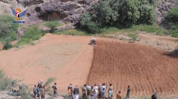 تدشين موسم الزراعة الشتوية لمحصول الذرة الشامية في تعز تدشين موسم الزراعة الشتوية لمحصول الذرة الشامية في تعز