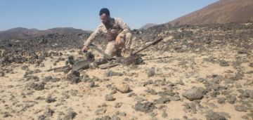 الجيش الوطني يعلن إسقاط طائرة مسيرة للحوثيين في مأرب