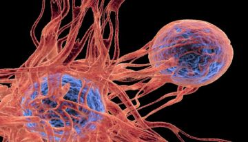 اقتراب التوصل الى علاج نهائي وجذري لمرض السكري !