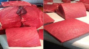 أسعار الأسماك اليوم الخميس فى العاصمة عدن 27 نوفمبر 2025م