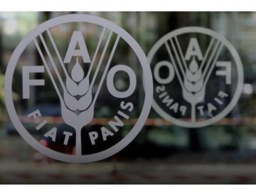 الفاو تعلن تراجع أسعار الغذاء العالمية للشهر الثاني تواليا في أكتوبر الماضي الفاو تعلن تراجع أسعار الغذاء العالمية للشهر الثاني تواليا في أكتوبر الماضي