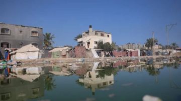 يونيسيف تحذر: انهيار نظام الصرف الصحي في غزة يشكل كارثة إنسانية وصحية يونيسيف تحذر: انهيار نظام الصرف الصحي في غزة يشكل كارثة إنسانية وصحية