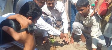 تدشين حملة تشجير مدارس مديرية الحوك في الحديدة تدشين حملة تشجير مدارس مديرية الحوك في الحديدة