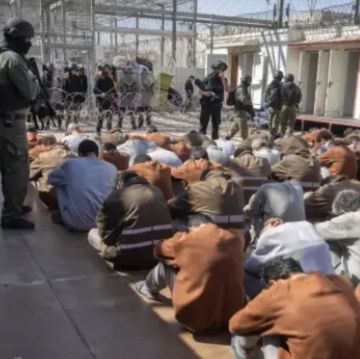 مؤسسة الضمير تحذر من تشريع قانون إعدام الأسرى الفلسطينيين وتصفه بجريمة حرب مكتملة الأركان