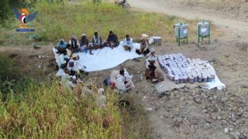 حجة.. زيارة ميدانية إلى محمية بني قيس النحلية المجتمعية وتدشين إنتاج عسل السدر