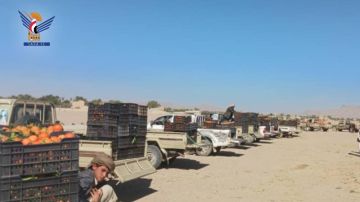 الجوف.. تسيير قافلة من البرتقال دعما للمرابطين في الجبهات الجوف.. تسيير قافلة من البرتقال دعما للمرابطين في الجبهات