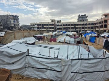 المنظمات الأهلية تدعو إلى إدخال المساعدات الإنسانية إلى قطاع غزة فورا المنظمات الأهلية تدعو إلى إدخال المساعدات الإنسانية إلى قطاع غزة فورا