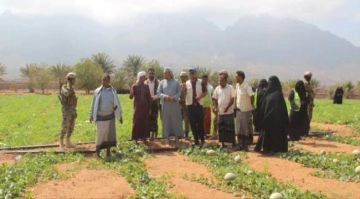 محافظ سقطرى يطلع على مشروع زراعي لدعم المرأة الريفية والأمن الغذائي