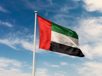 الإمارات تحتفي باليوم الدولي للتسامح الإمارات تحتفي باليوم الدولي للتسامح