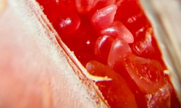 دواء جديد يخفض الكوليسترول الضار بنسبة قياسية