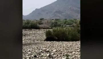 الثاني خلال أسبوع .. مقتل مواطن خلال اشتباك مسلح بين مزارع وتاجر مبيدات في عمران الثاني خلال أسبوع .. مقتل مواطن خلال اشتباك مسلح بين مزارع وتاجر مبيدات في عمران