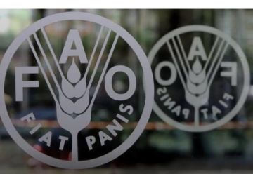 الفاو تعلن تراجع أسعار الغذاء العالمية للشهر الثاني تواليا في أكتوبر الماضي الفاو تعلن تراجع أسعار الغذاء العالمية للشهر الثاني تواليا في أكتوبر الماضي