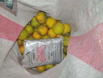 القبض على مروجي مخدرات وضبط كيلو حشيش بساحل حضرموت