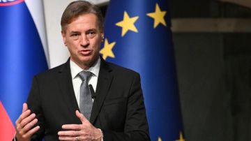 سلوفينيا تجري استفتاء جديدا بشأن قانون الموت الرحيم