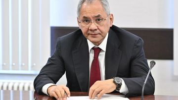 شويغو: قادة دول الناتو في أوروبا قد يخططون لعمليات استفزاز معقدة ضد روسيا