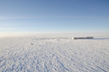 علماء روس ينجحون برزاعة 200 نوع من الخضراوات في القطب الجنوبي
