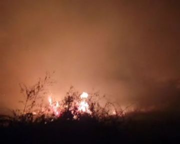 حريق واسع يلتهم مزارع في زنجبار بأبين