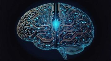 دراسة جديدة تكشف أربع مراحل حاسمة في تطور الدماغ